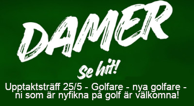 Inbjudan till Damkväll